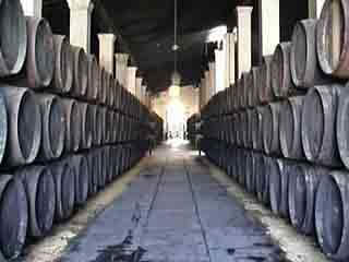 صور Jerez de la Frontera, wine النبيذ